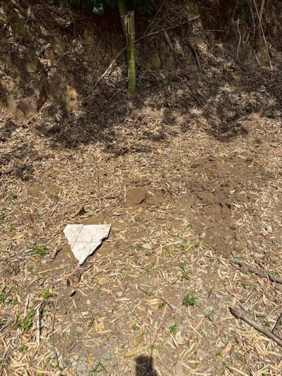 埼玉県川口市の更地で地中障害撤去前に地表面のごみや草を確認している状況
